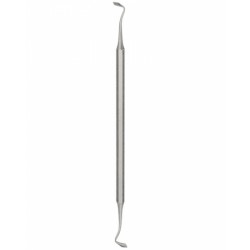 Stomach, Intes tines, Rectum